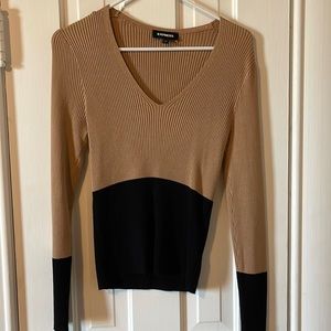 Express ribbed sweater